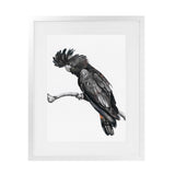 Shop George The Black Cockatoo (White) Art Print-Animals, Birds, Black, Portrait, Rectangle, View All, White-framed painted poster wall decor artwork
