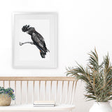 Shop George The Black Cockatoo (White) Art Print-Animals, Birds, Black, Portrait, Rectangle, View All, White-framed painted poster wall decor artwork