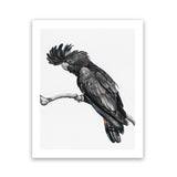 Shop George The Black Cockatoo (White) Art Print-Animals, Birds, Black, Portrait, Rectangle, View All, White-framed painted poster wall decor artwork