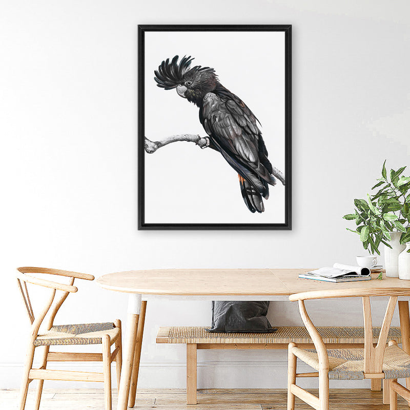 Shop George The Black Cockatoo (White) Canvas Art Print-Animals, Baby Nursery, Birds, Black, Portrait, Rectangle, View All, White-framed wall decor artwork