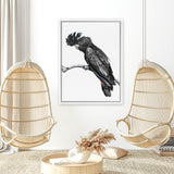 Shop George The Black Cockatoo (White) Canvas Art Print-Animals, Baby Nursery, Birds, Black, Portrait, Rectangle, View All, White-framed wall decor artwork