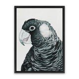Shop Jimmy The Black Cockatoo Canvas Art Print-Animals, Birds, Black, Grey, Portrait, Rectangle, View All-framed wall decor artwork