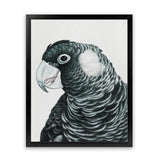 Shop Jimmy The Black Cockatoo Art Print-Animals, Birds, Black, Grey, Portrait, Rectangle, View All-framed painted poster wall decor artwork
