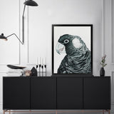 Shop Jimmy The Black Cockatoo Art Print-Animals, Birds, Black, Grey, Portrait, Rectangle, View All-framed painted poster wall decor artwork
