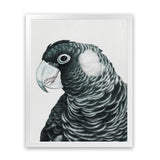 Shop Jimmy The Black Cockatoo Art Print-Animals, Birds, Black, Grey, Portrait, Rectangle, View All-framed painted poster wall decor artwork