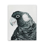 Shop Jimmy The Black Cockatoo Art Print-Animals, Birds, Black, Grey, Portrait, Rectangle, View All-framed painted poster wall decor artwork