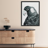 Shop Jimmy The Black Cockatoo Canvas Art Print-Animals, Birds, Black, Grey, Portrait, Rectangle, View All-framed wall decor artwork