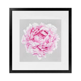 Shop Pink Peony (Square) Art Print-Botanicals, Florals, Grey, Pink, Square, View All-framed painted poster wall decor artwork
