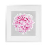 Shop Pink Peony (Square) Art Print-Botanicals, Florals, Grey, Pink, Square, View All-framed painted poster wall decor artwork