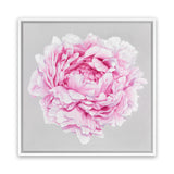 Shop Pink Peony (Square) Canvas Art Print-Botanicals, Florals, Grey, Pink, Square, View All-framed wall decor artwork
