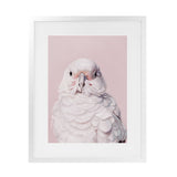 Shop Milly The Umbrella Cockatoo - Pink Art Print-Animals, Baby Nursery, Birds, Pink, Portrait, View All-framed painted poster wall decor artwork