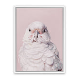 Shop Milly The Umbrella Cockatoo - Pink Canvas Art Print-Animals, Baby Nursery, Birds, Pink, Portrait, View All-framed wall decor artwork