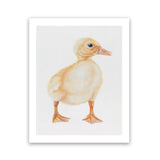 Shop Baby Duckling Art Print-Animals, Baby Nursery, Birds, Portrait, Rectangle, View All, Yellow-framed painted poster wall decor artwork