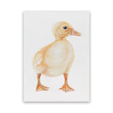 Shop Baby Duckling Canvas Art Print-Animals, Baby Nursery, Birds, Portrait, Rectangle, View All, Yellow-framed wall decor artwork