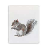 Shop Baby Squirrel Art Print-Animals, Baby Nursery, Grey, Portrait, View All-framed painted poster wall decor artwork