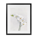 Shop White Orchid Stems Art Print-Botanicals, Florals, Portrait, Rectangle, View All, White-framed painted poster wall decor artwork