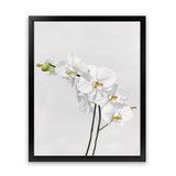 Shop White Orchid Stems Art Print-Botanicals, Florals, Portrait, Rectangle, View All, White-framed painted poster wall decor artwork