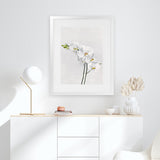 Shop White Orchid Stems Art Print-Botanicals, Florals, Portrait, Rectangle, View All, White-framed painted poster wall decor artwork