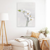 Shop White Orchid Stems Canvas Art Print-Botanicals, Florals, Portrait, Rectangle, View All, White-framed wall decor artwork