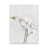 Shop White Orchid Stems Canvas Art Print-Botanicals, Florals, Portrait, Rectangle, View All, White-framed wall decor artwork
