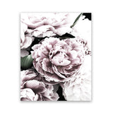 Shop Pink Peony Blossom I Art Print-Botanicals, Florals, Pink, Portrait, Rectangle, View All-framed painted poster wall decor artwork