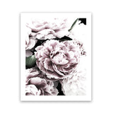 Shop Pink Peony Blossom I Art Print-Botanicals, Florals, Pink, Portrait, Rectangle, View All-framed painted poster wall decor artwork