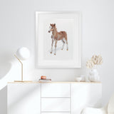 Shop Baby Foal Art Print-Animals, Baby Nursery, Brown, Photography, Portrait, View All-framed painted poster wall decor artwork