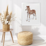 Shop Baby Foal Art Print-Animals, Baby Nursery, Brown, Photography, Portrait, View All-framed painted poster wall decor artwork
