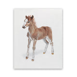 Shop Baby Foal Art Print-Animals, Baby Nursery, Brown, Photography, Portrait, View All-framed painted poster wall decor artwork