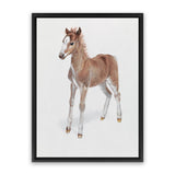 Shop Baby Foal Canvas Art Print-Animals, Baby Nursery, Brown, Photography, Photography Canvas Prints, Portrait, View All-framed wall decor artwork
