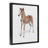 Shop Baby Foal Canvas Art Print-Animals, Baby Nursery, Brown, Photography, Photography Canvas Prints, Portrait, View All-framed wall decor artwork