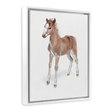 Shop Baby Foal Canvas Art Print-Animals, Baby Nursery, Brown, Photography, Photography Canvas Prints, Portrait, View All-framed wall decor artwork