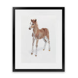 Shop Baby Foal Art Print-Animals, Baby Nursery, Brown, Photography, Portrait, View All-framed painted poster wall decor artwork