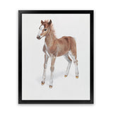 Shop Baby Foal Art Print-Animals, Baby Nursery, Brown, Photography, Portrait, View All-framed painted poster wall decor artwork