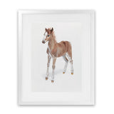 Shop Baby Foal Art Print-Animals, Baby Nursery, Brown, Photography, Portrait, View All-framed painted poster wall decor artwork