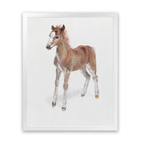 Shop Baby Foal Art Print-Animals, Baby Nursery, Brown, Photography, Portrait, View All-framed painted poster wall decor artwork
