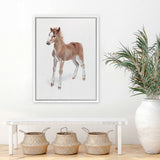 Shop Baby Foal Canvas Art Print-Animals, Baby Nursery, Brown, Photography, Photography Canvas Prints, Portrait, View All-framed wall decor artwork