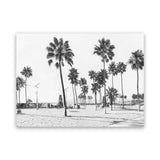 Shop California Foreshore B&W Canvas Print-Black, Botanicals, Coastal, Grey, Landscape, Tropical, View All, White-framed wall decor artwork