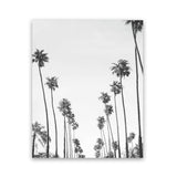 Shop California Palms B&W Art Print-Black, Botanicals, Coastal, Grey, Portrait, Tropical, View All, White-framed painted poster wall decor artwork