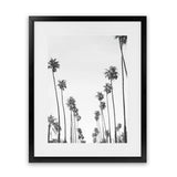 Shop California Palms B&W Art Print-Black, Botanicals, Coastal, Grey, Portrait, Tropical, View All, White-framed painted poster wall decor artwork