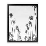 Shop California Palms B&W Art Print-Black, Botanicals, Coastal, Grey, Portrait, Tropical, View All, White-framed painted poster wall decor artwork