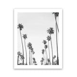 Shop California Palms B&W Art Print-Black, Botanicals, Coastal, Grey, Portrait, Tropical, View All, White-framed painted poster wall decor artwork