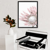 Shop Protea 1 Photo Canvas Art Print-Botanicals, Florals, Photography, Photography Canvas Prints, Pink, Portrait, Rectangle, View All, White-framed wall decor artwork