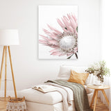 Shop Protea 1 Photo Canvas Art Print-Botanicals, Florals, Photography, Photography Canvas Prints, Pink, Portrait, Rectangle, View All, White-framed wall decor artwork