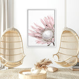 Shop Protea 1 Photo Canvas Art Print-Botanicals, Florals, Photography, Photography Canvas Prints, Pink, Portrait, Rectangle, View All, White-framed wall decor artwork