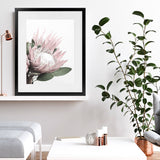 Shop Protea 2 Photo Art Print-Botanicals, Florals, Photography, Pink, Portrait, Rectangle, View All, White-framed poster wall decor artwork