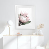 Shop Protea 2 Photo Art Print-Botanicals, Florals, Photography, Pink, Portrait, Rectangle, View All, White-framed poster wall decor artwork