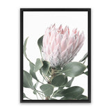 Shop Protea 3 Photo Canvas Art Print-Botanicals, Florals, Green, Photography, Photography Canvas Prints, Pink, Portrait, Rectangle, View All-framed wall decor artwork