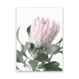 Shop Protea 3 Photo Canvas Art Print-Botanicals, Florals, Green, Photography, Photography Canvas Prints, Pink, Portrait, Rectangle, View All-framed wall decor artwork