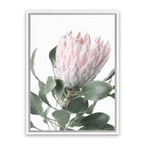 Shop Protea 3 Photo Canvas Art Print-Botanicals, Florals, Green, Photography, Photography Canvas Prints, Pink, Portrait, Rectangle, View All-framed wall decor artwork